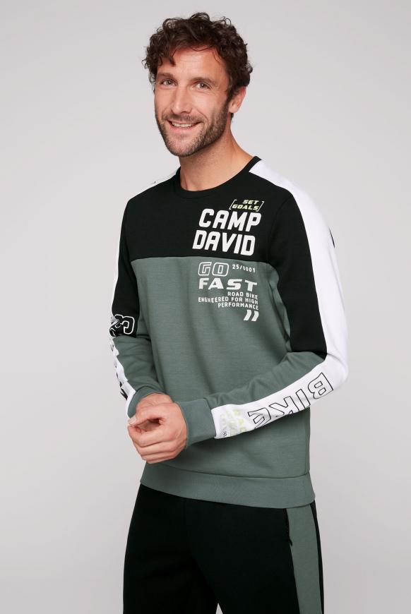 Sweatshirt im Racing-Style dark sage