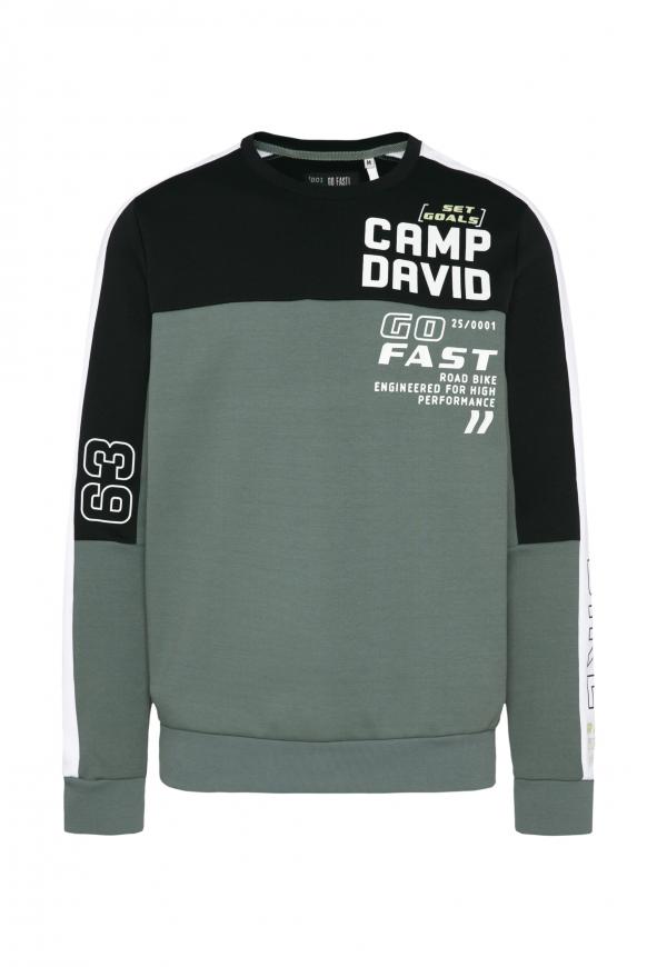 Sweatshirt im Racing-Style dark sage